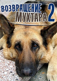 Сериал Возвращение Мухтара 1-10 Сезон