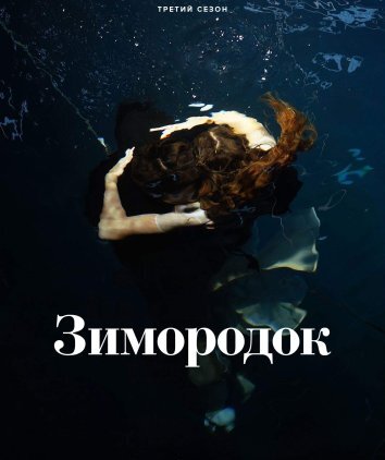 Сериал Зимородок 1-3 Сезон