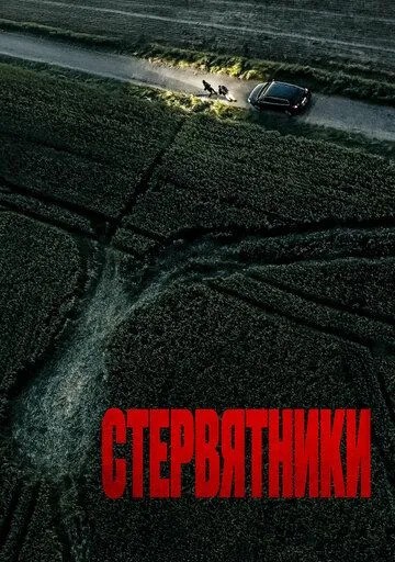 Стервятники (2025)