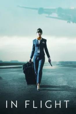 В полете (2025)