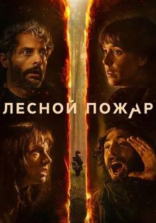 Лесной пожар / Огнезащитный барьер (2026)