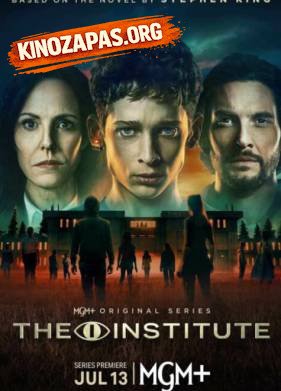 Институт (2025)